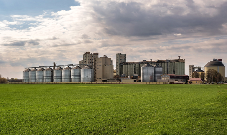 Trading no Agronegócio: Como Funciona e Sua Importância no Mercado Global